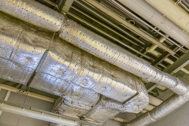 Best Duct Cleaning for Offices  in Louisville, NE